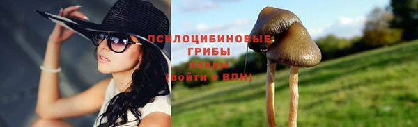 тгк Абдулино