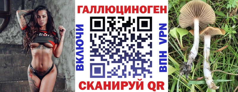 Галлюциногенные грибы GOLDEN TEACHER Анадырь